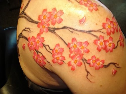 Beautiful Right Shoulder Cherry Blosoom Flowers Tattoo